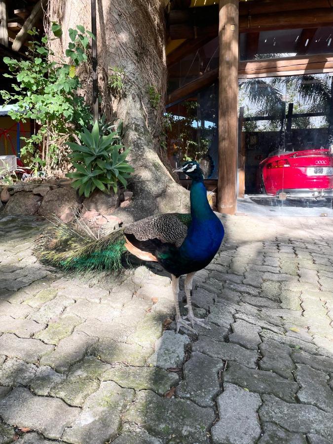 Pousada Familiar Casa Amarela São Gabriel Екстериор снимка
